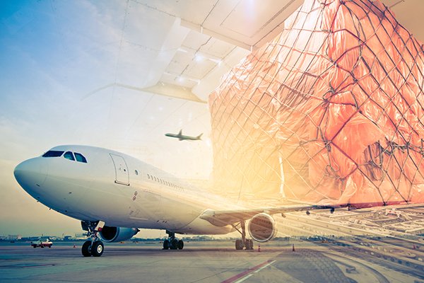 Cargo Charters